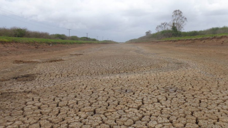 2025 fue el quinto año más seco desde 1901 #FVDigital