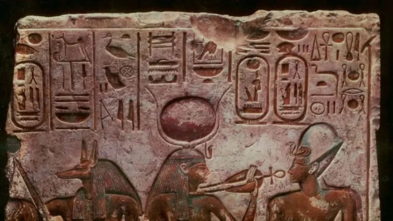 El fósil de una nueva especie de simio en Egipto redefine el origen de los simios modernos #FVDigital