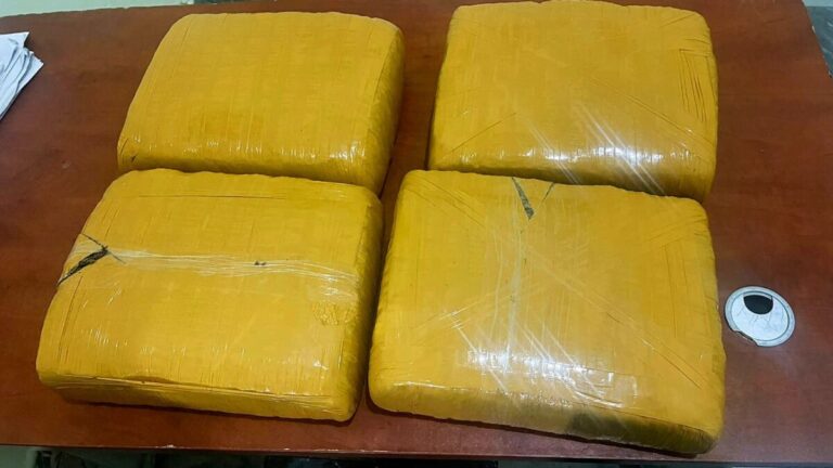 Ejército incauta cuatro pacas de marihuana en Elías Piña #FVDigital