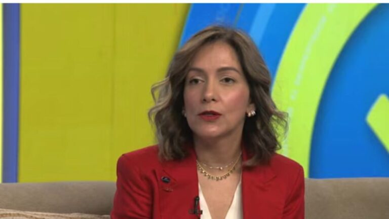 Liderazgo femenino en AMCHAMDR: más mujeres en dirección #FVDigital