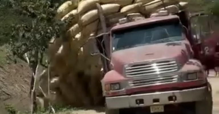 Camión cargado de arroz vuelca en La Vega sin reporte de víctimas