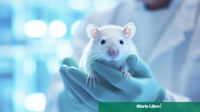 Nuevo método de terapia celular CAR-T mejora tratamiento del cáncer