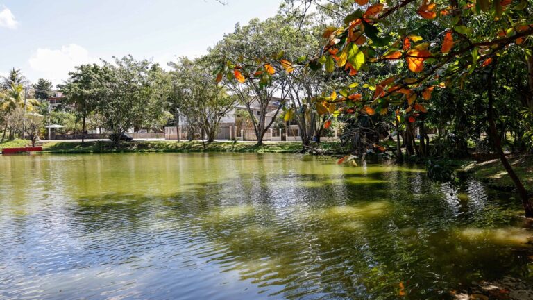 Vecinos luchan por rescatar laguna comunitaria en Paraíso del Caribe