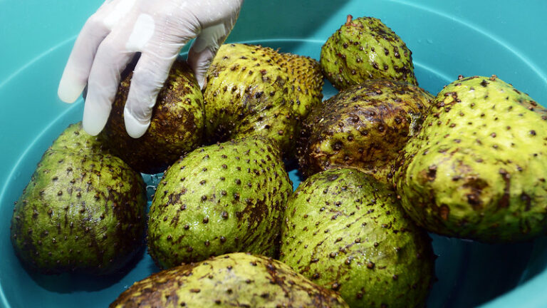 Porque debes consumir más guanábana – #DeInteres   #FVDigital