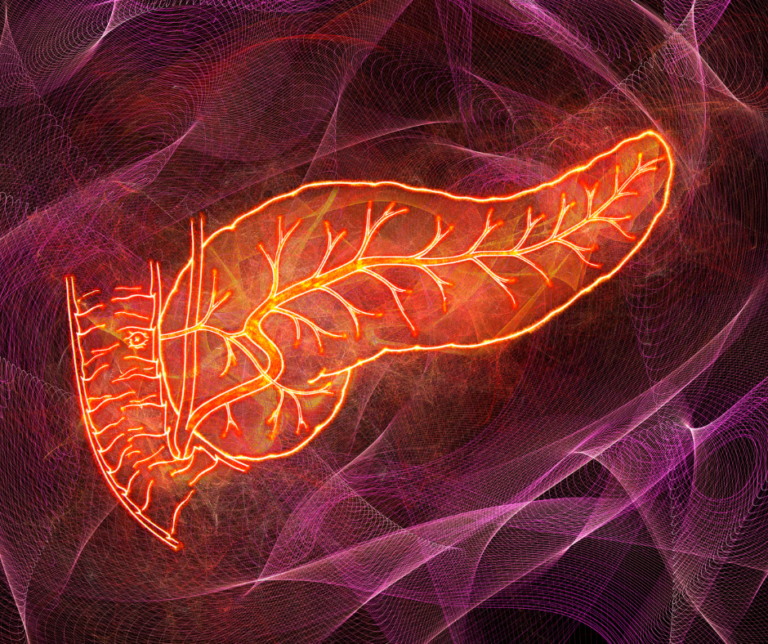 ¿Qué comer para un páncreas sano? – #DeInteres   #FVDigital