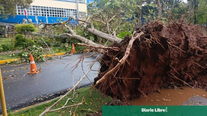 caen-arboles-en-el-gran-santo-domingo-por-lluvias-3700f57b-focus-0-0-1200-675_wam.jpg
