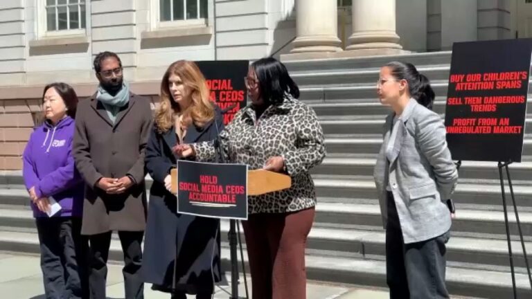 El Concejo de Nueva York busca regular las redes sociales