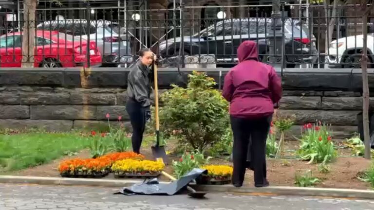 Voluntarios apoyan a comunidades en el Día de la Tierra