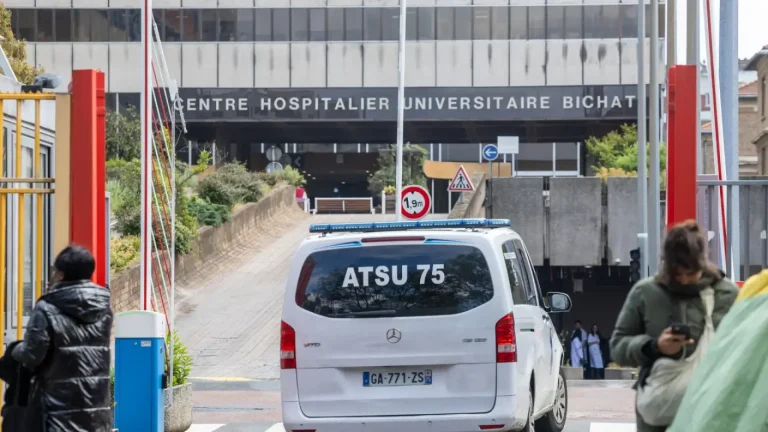 #Mundo:La mujer francesa que dio positivo por hantavirus, en la UCI en estado crítico: “Las próximas horas serán determinantes” #FVDigital