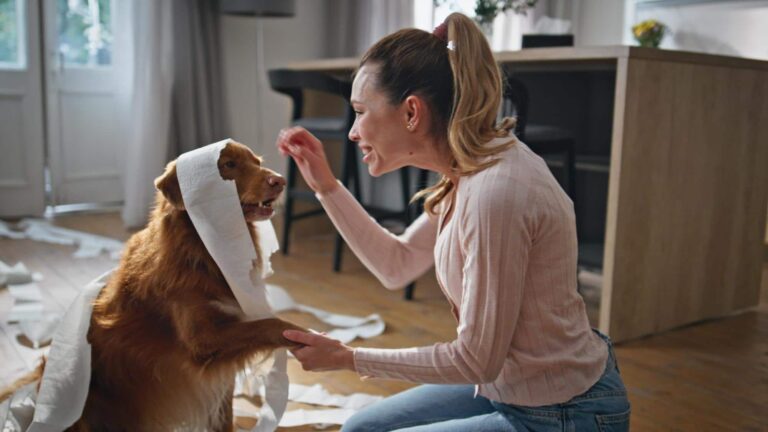 #Salud: Las señales más comunes de aburrimiento en perros y qué hacer para ayudarlos
