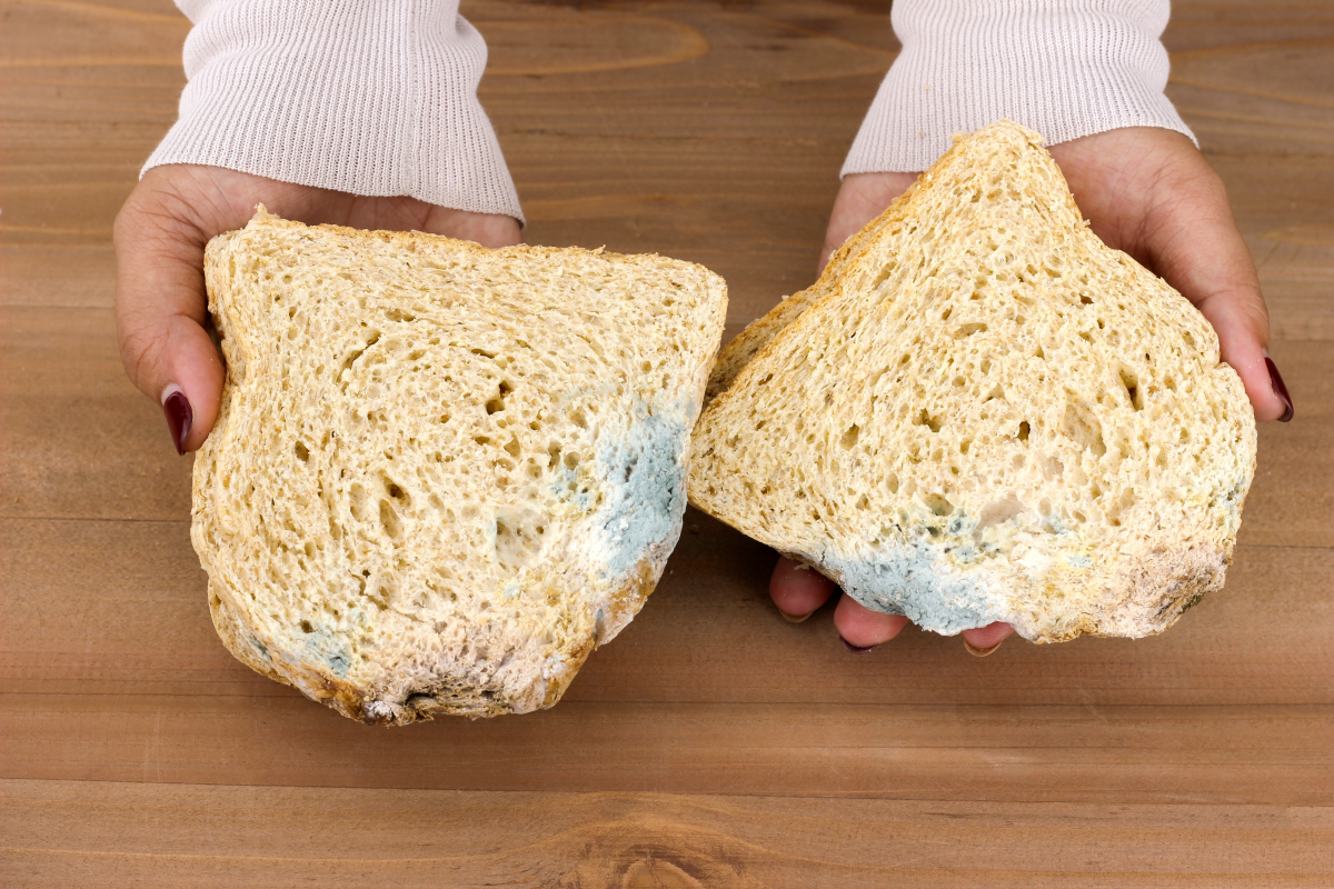 pan-con-moho-es-malo-salud_shutterstock_2248835543.jpg