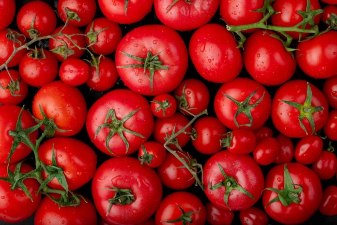 5-trucos-para-madurar-tomates-rapidamente.jpg