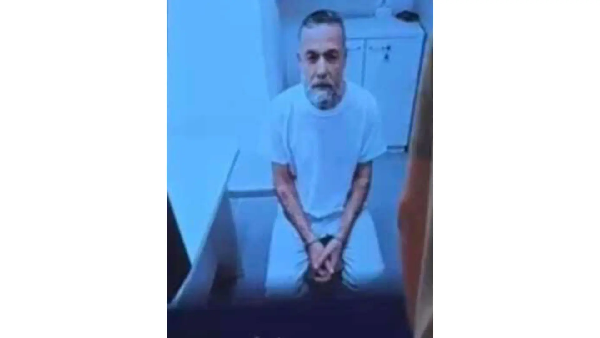 6a2bd746403023-86011191.jpeg
