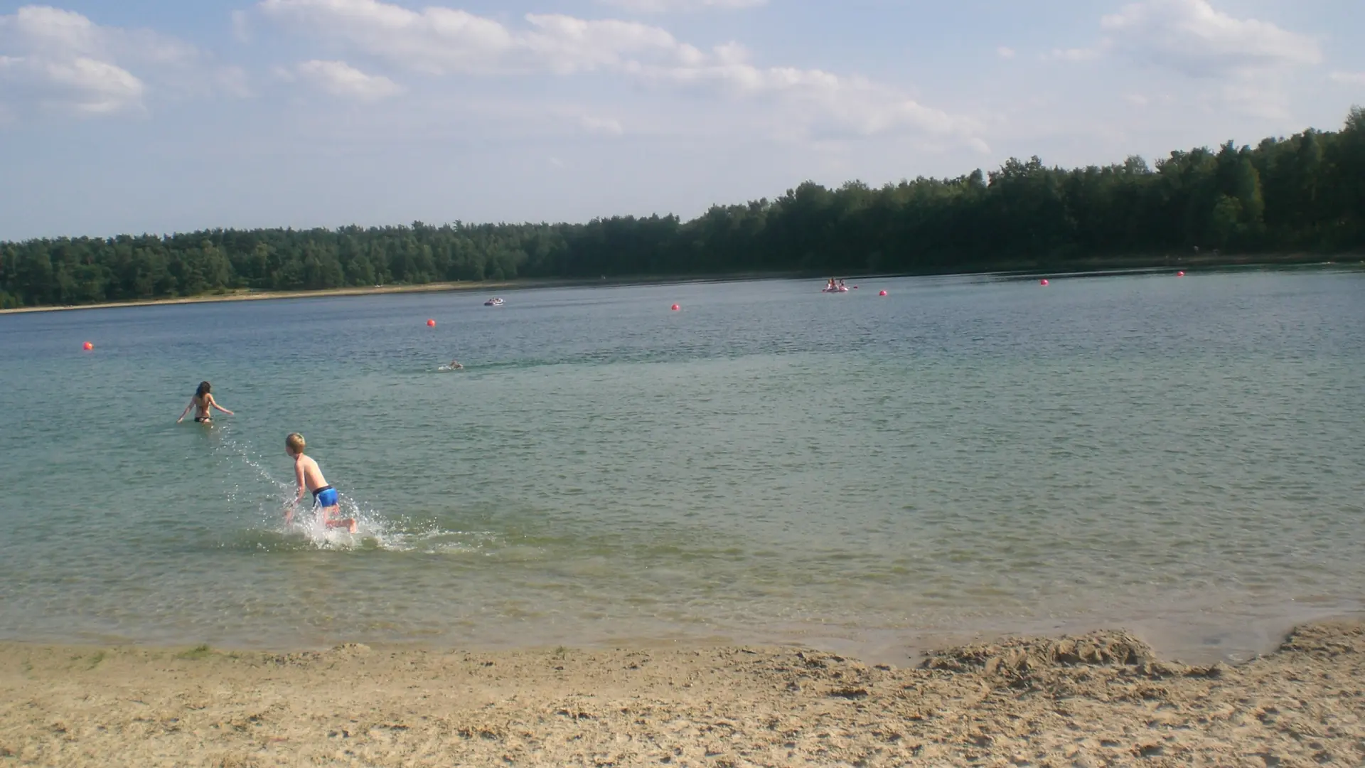 6a3bd7a6b664d5-63387451.jpeg