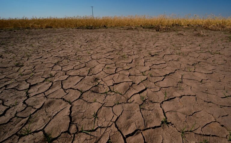 Científicos alertan que El Niño será enorme, devastador y costoso
