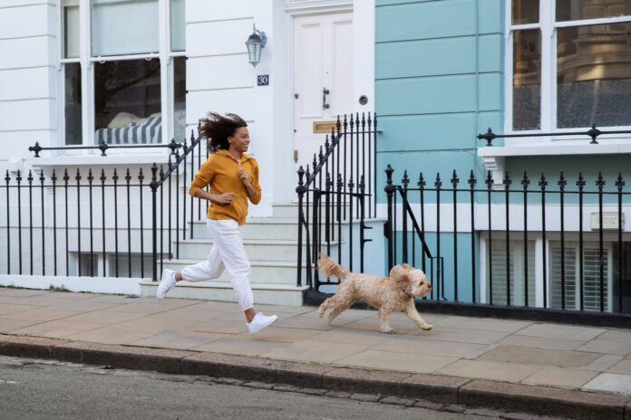 Cuanto-debe-caminar-y-correr-un-perro-al-dia1.jpg