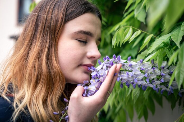 Estas-plantas-aromaticas-podrian-ayudarte-a-conciliar-el-sueno-sin-medicamentos.jpg